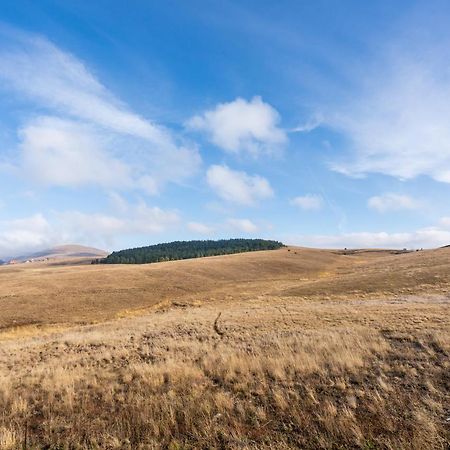 Zlatibor Hills Zozon Apartment Екстериор снимка