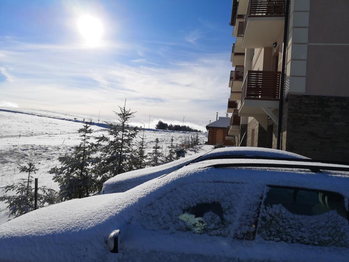 Zlatibor Hills Zozon Apartment Екстериор снимка