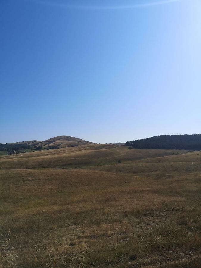Zlatibor Hills Zozon Apartment Екстериор снимка
